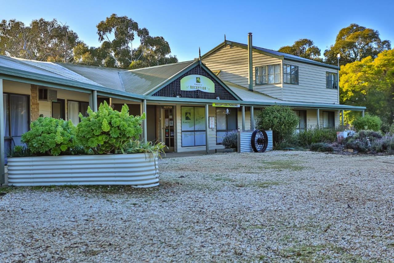 הלס גאפ Mountain View Motor Inn & Holiday Lodges מראה חיצוני תמונה